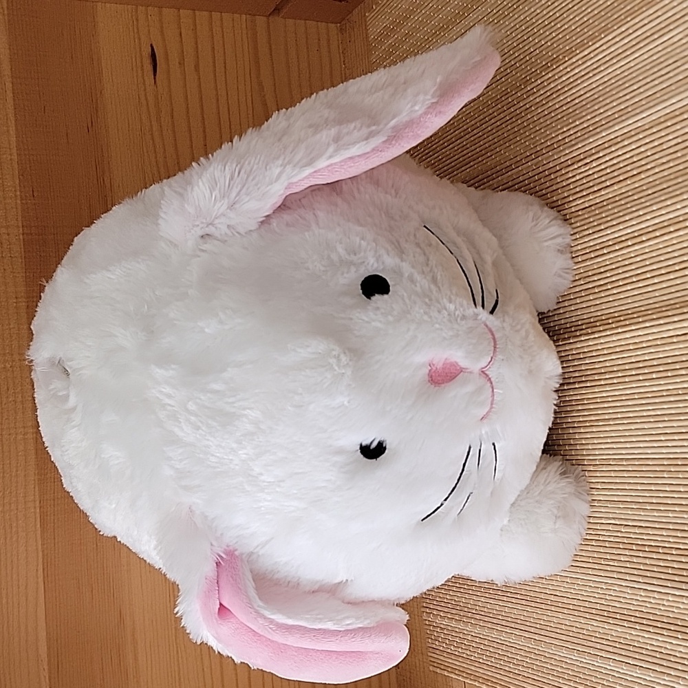 FAB NY Floppy Eared Bunny Bank